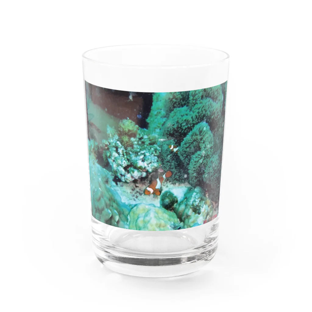時間泥棒の海　カクレクマノミ　ニモ Water Glass :front