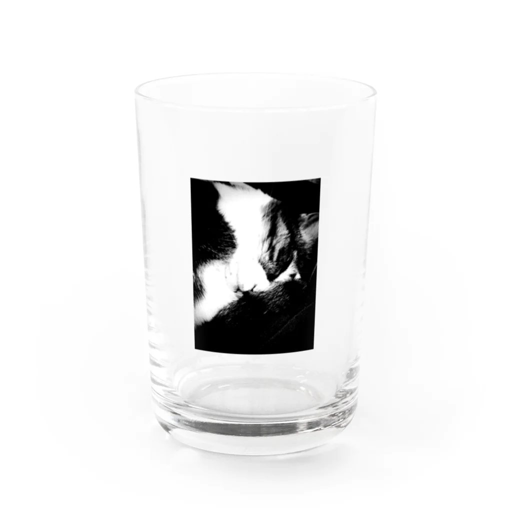 chama_coのsleeping cat glass グラス前面