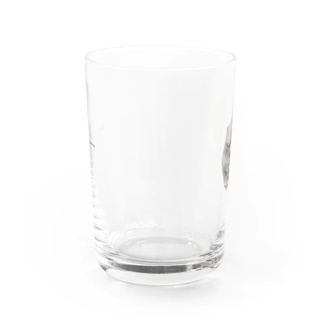 Canako Inoueのウォンバット Water Glass :front