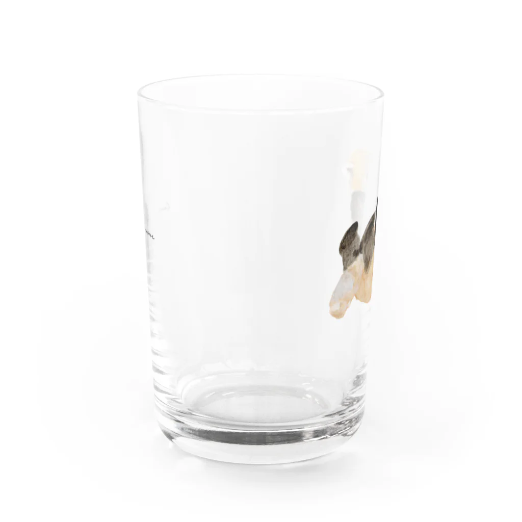 Canako Inoueのレッサーパンダ Water Glass :front