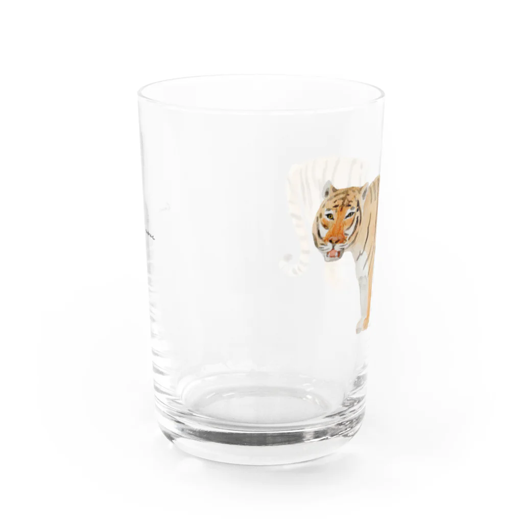 Canako Inoueのトラ Water Glass :front