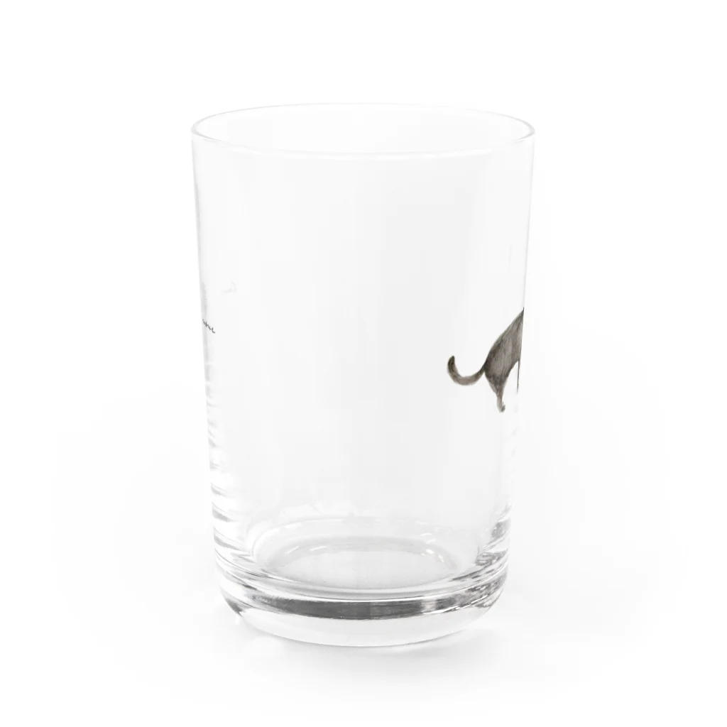 Canako Inoueの黒猫 Water Glass :front