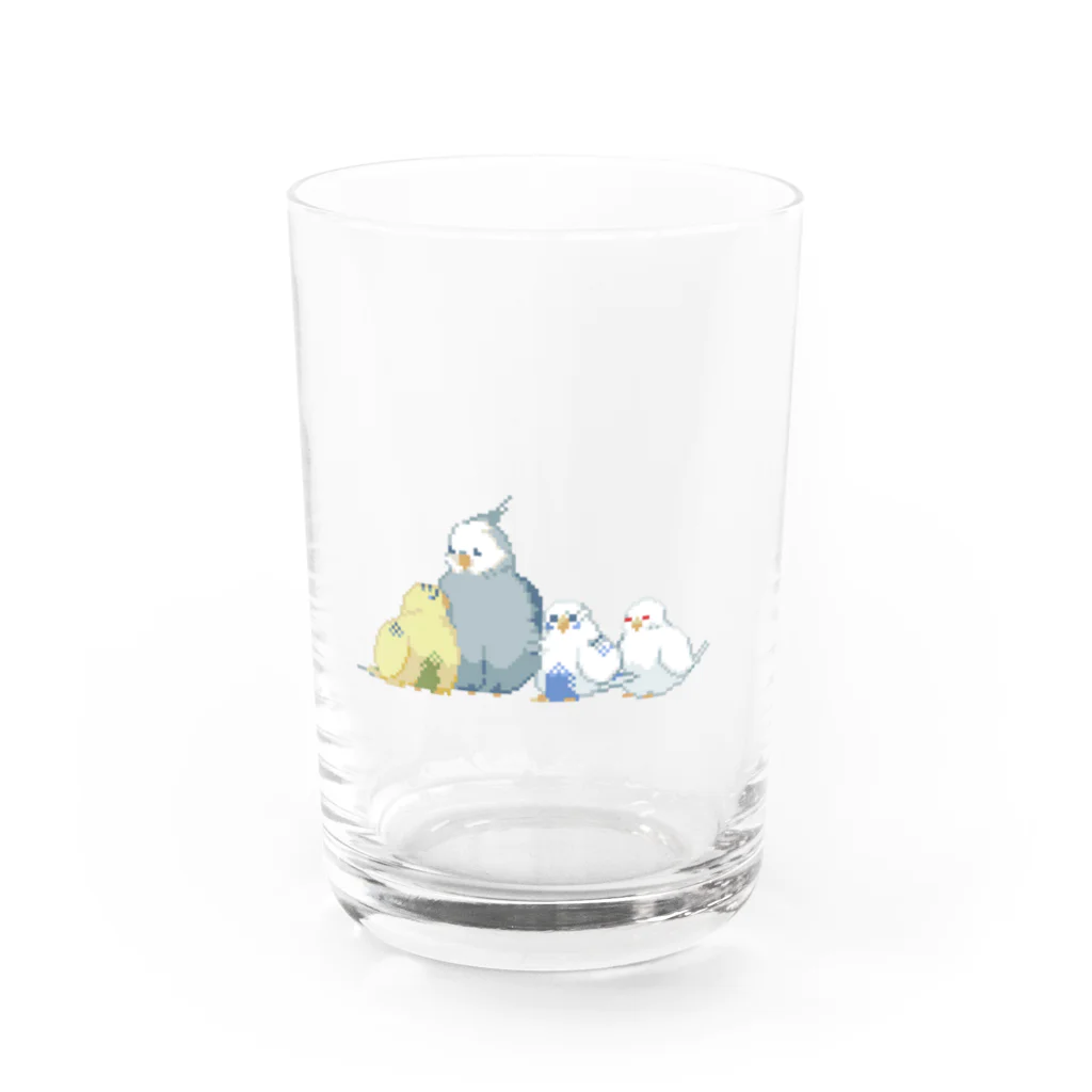 ゆずたろのドット絵インコたち Water Glass :front