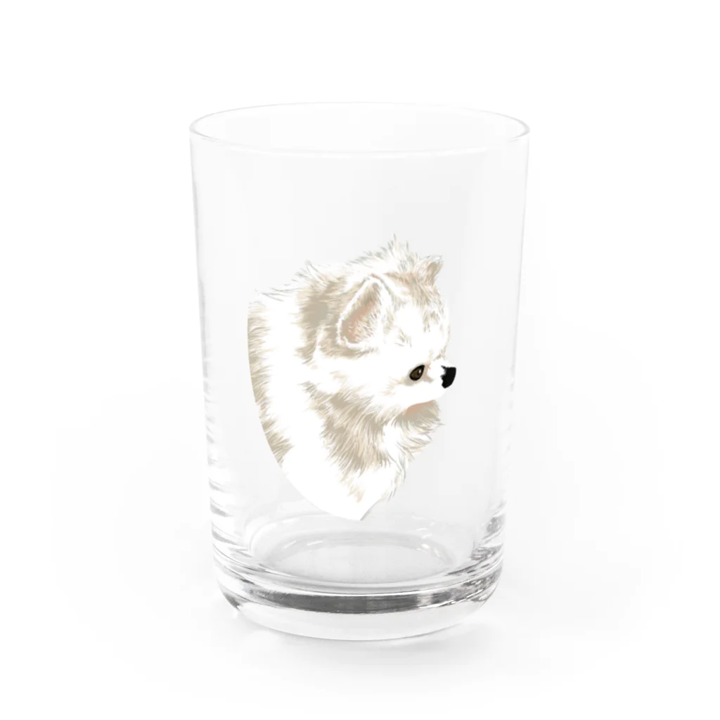 朔のボウルの白ポメラニアン Water Glass :front