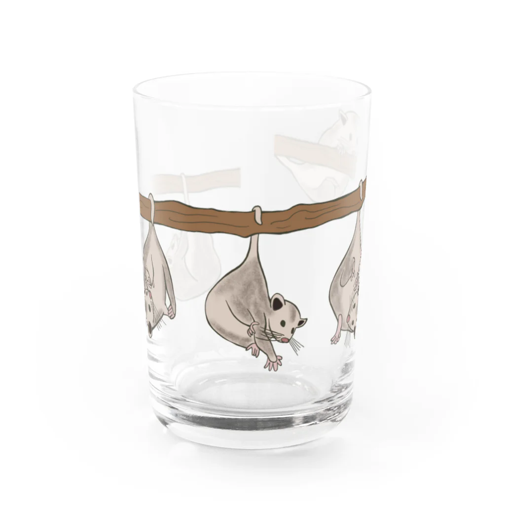 prunelleのオポッサムくんたち Water Glass :front