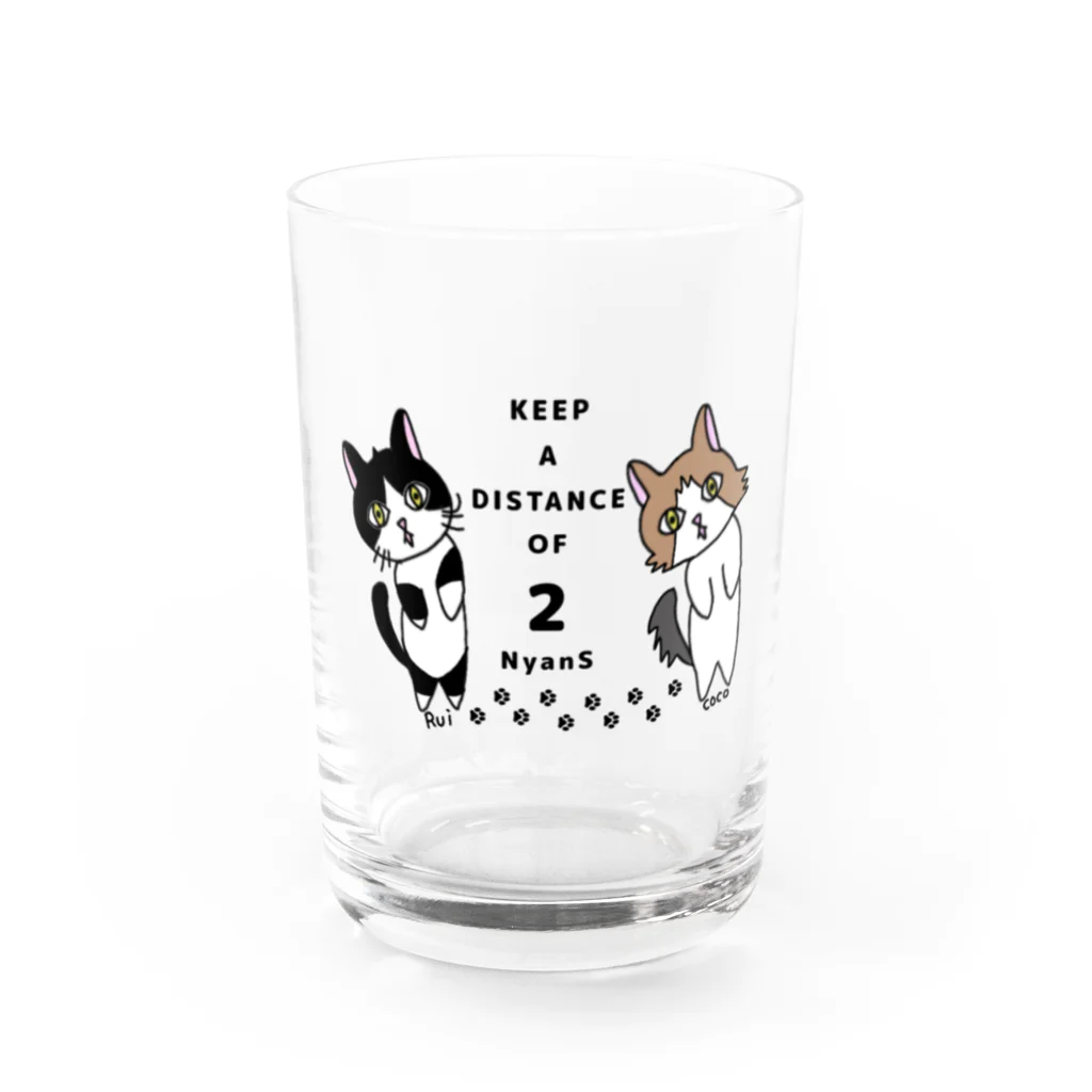 平田 莉紅@ココ&ルイちゃんのKEEP A DISTANCE OF 2 NyanS Water Glass :front