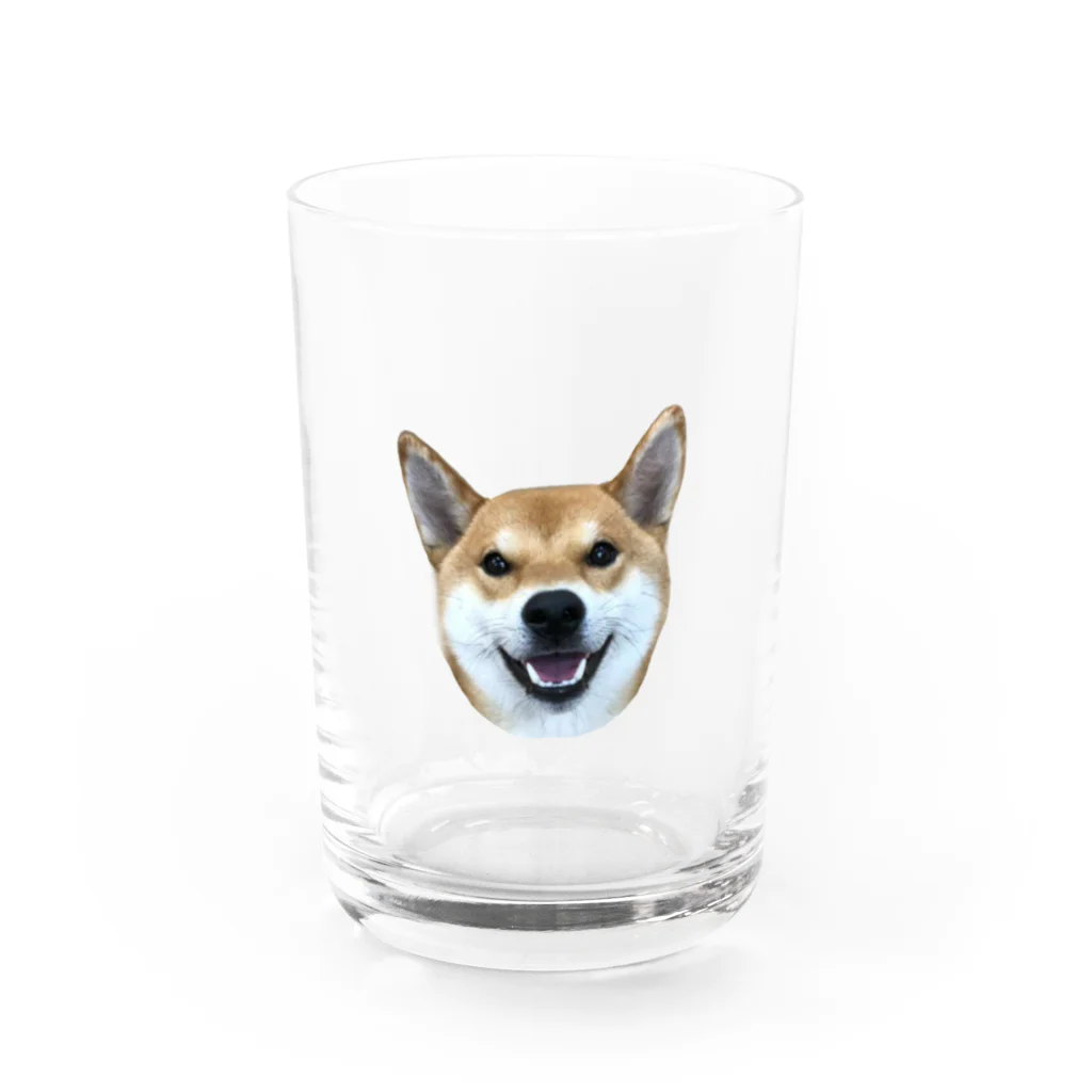 KANTAROの柴犬 かんたろう(実写) Water Glass :front