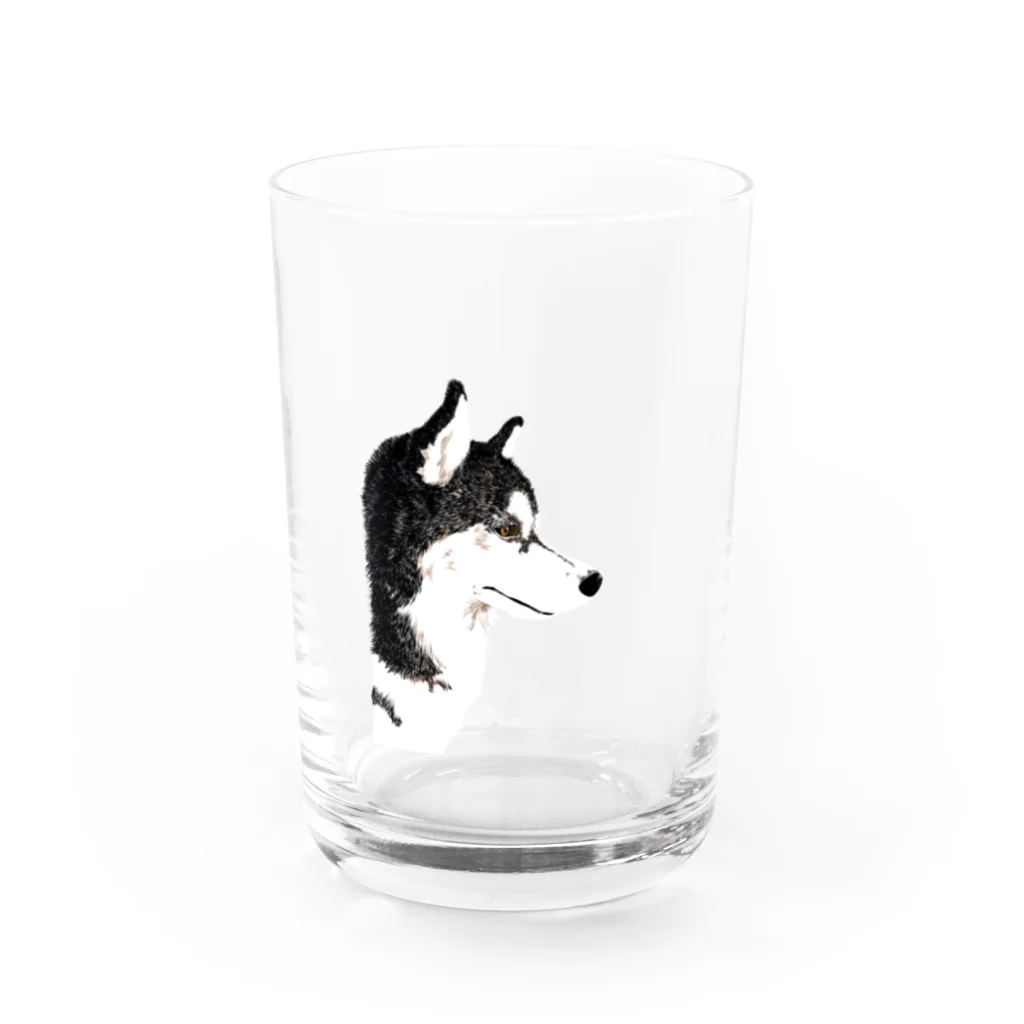 朔のボウルのかっこいいハスキー横顔 Water Glass :front