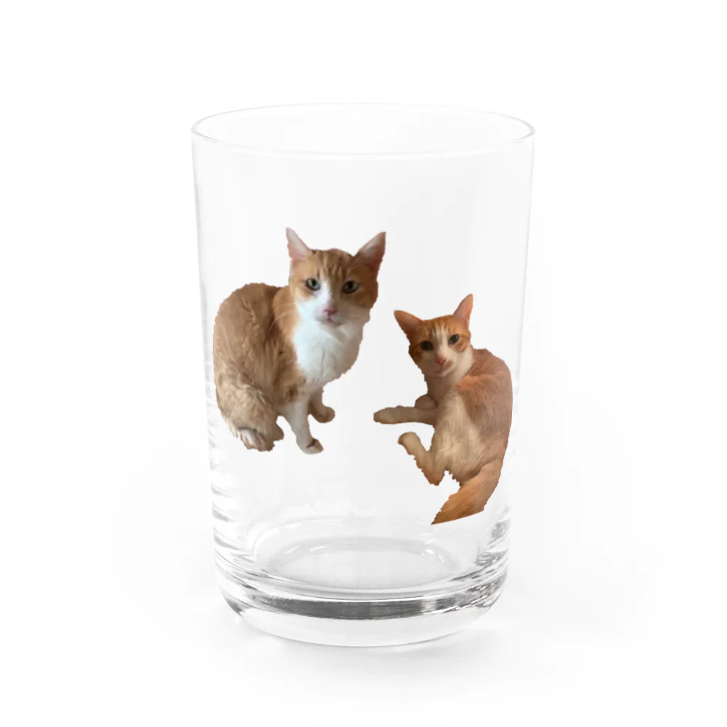 Norinyaのムムさん&メメちゃん兄妹（胸元） Water Glass :front