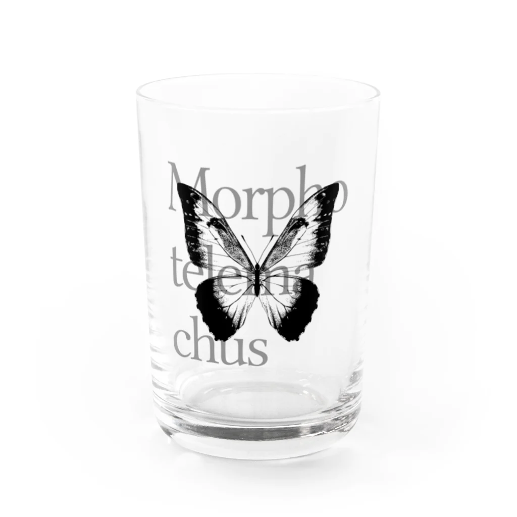 NEROのMorpho telemachus Water Glass :front