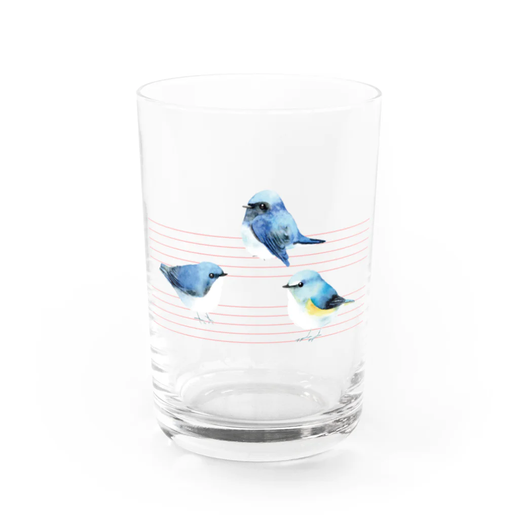 しらさぎしゅうの瑠璃三鳥 Water Glass :front