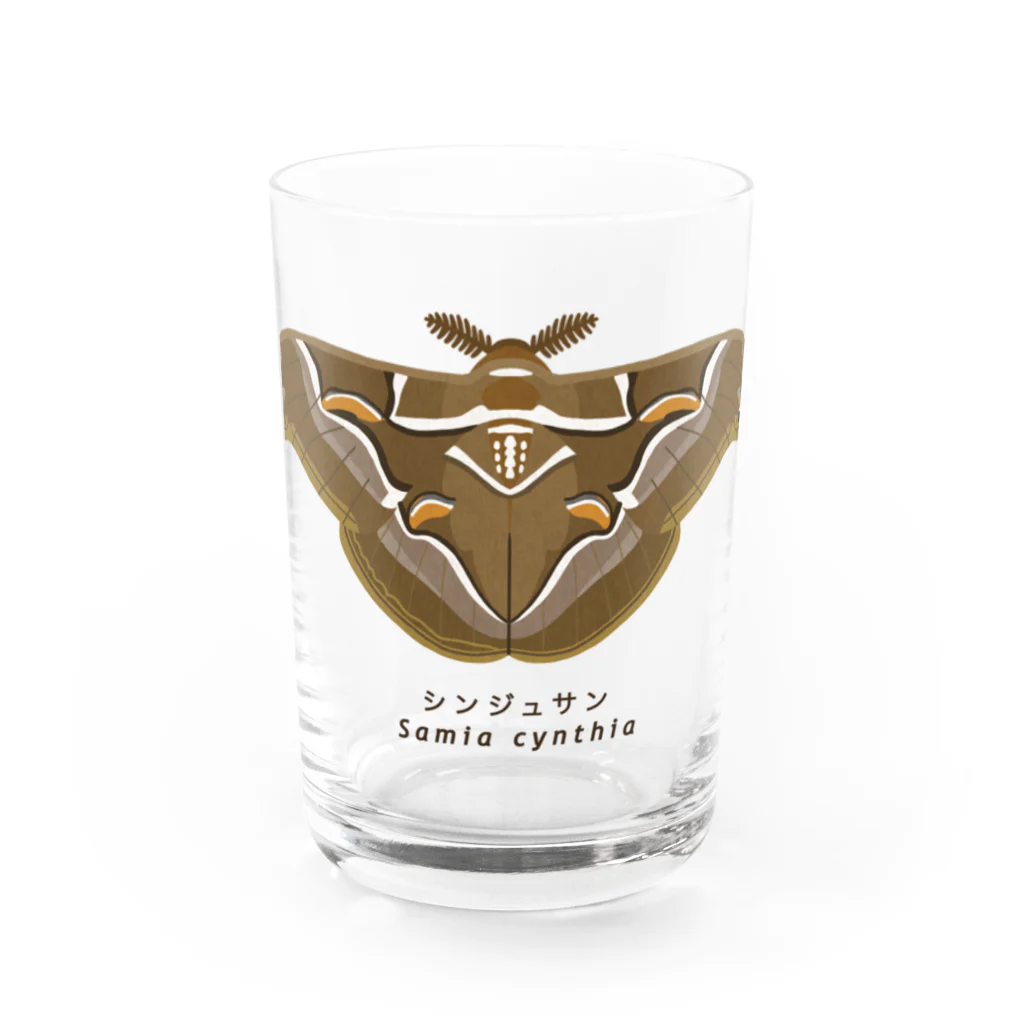 さちこの生物雑貨のシンジュサン Water Glass :front