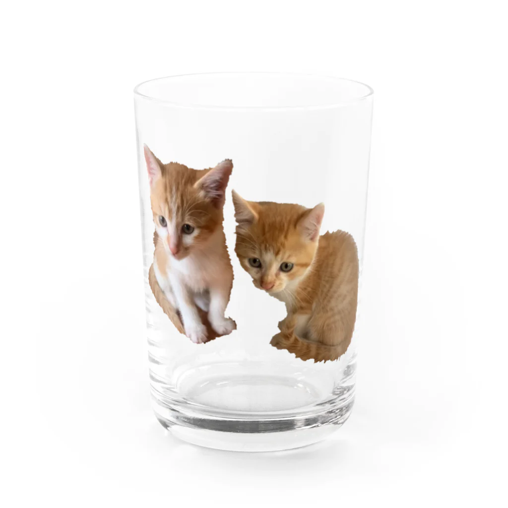 Norinyaの月くん&光くん 兄弟(胸元) Water Glass :front