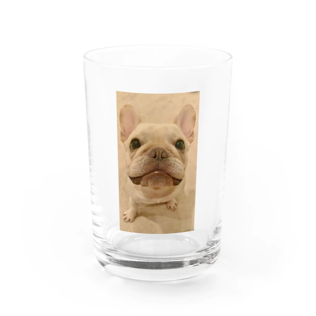 フレンチブルドッグ　わんわん堂のフレンチブルドッグ　ぶぶタン Water Glass :front