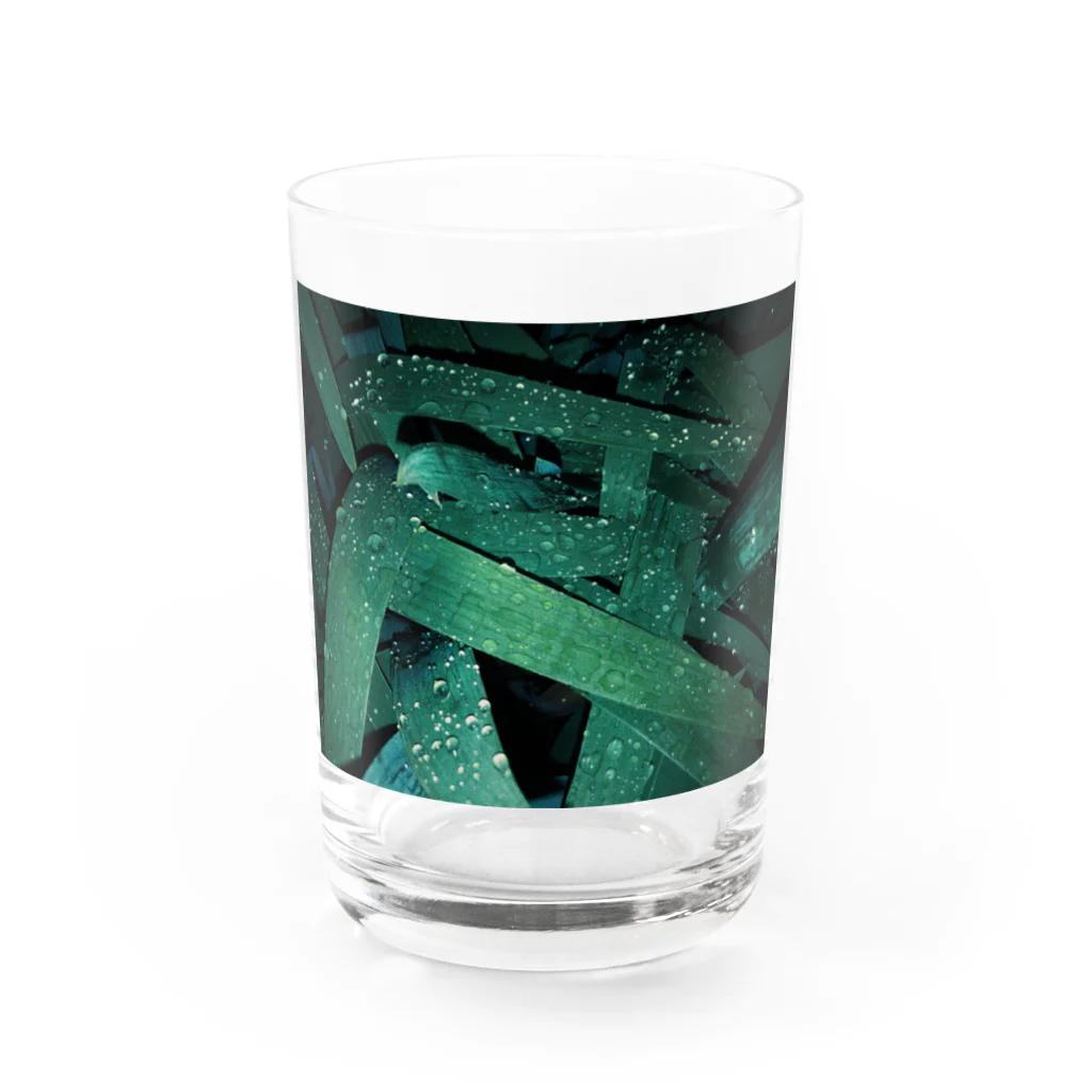 テユタオイシューのグッズの千文字「Don't care, but care」の葉っぱ Water Glass :front