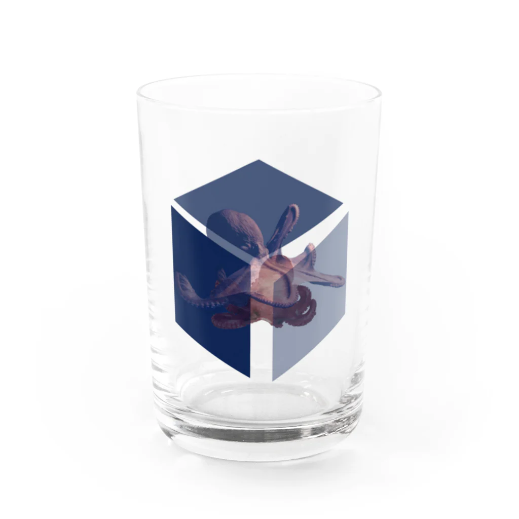 こけしボックスのシュレディンガーの蛸 Water Glass :front