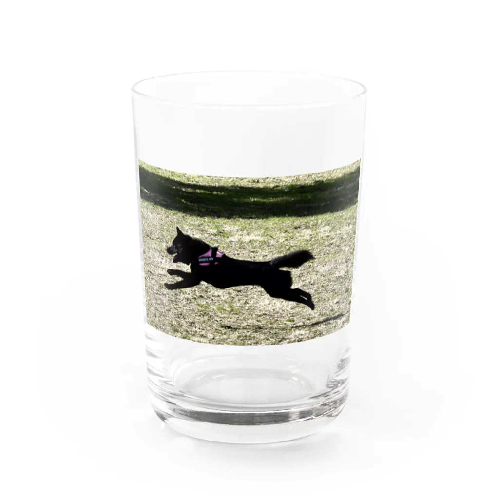 龍馬と紬の部屋の紬ちゃん Water Glass :front