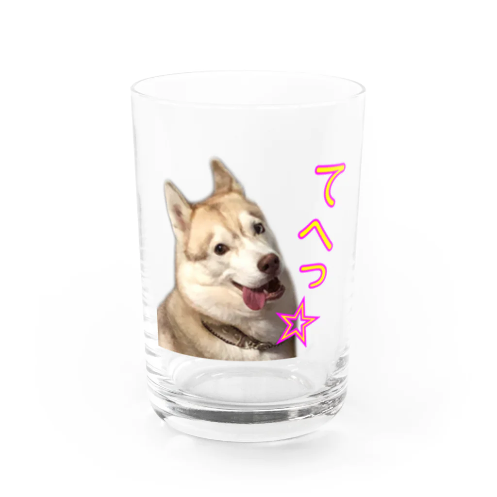 Husky'S Herb Gardenのご機嫌ハスキー Water Glass :front