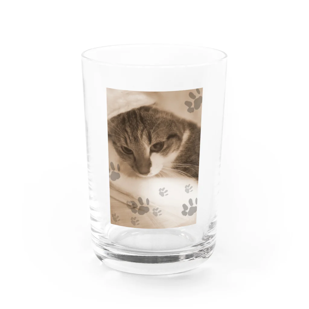 ねこ屋にこ日和の思い出1 Water Glass :front