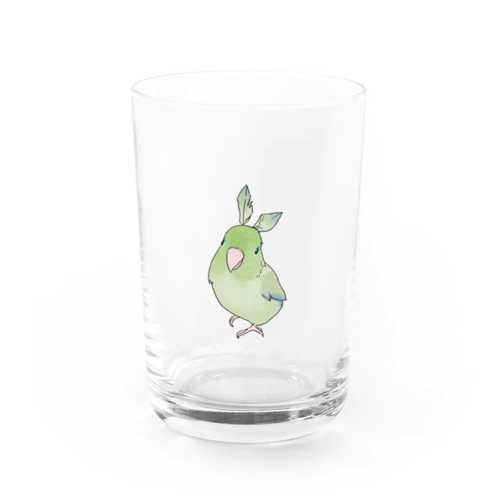 まめるりはことりのお羽飾り　マメルリハちゃん【まめるりはことり】 Water Glass :front