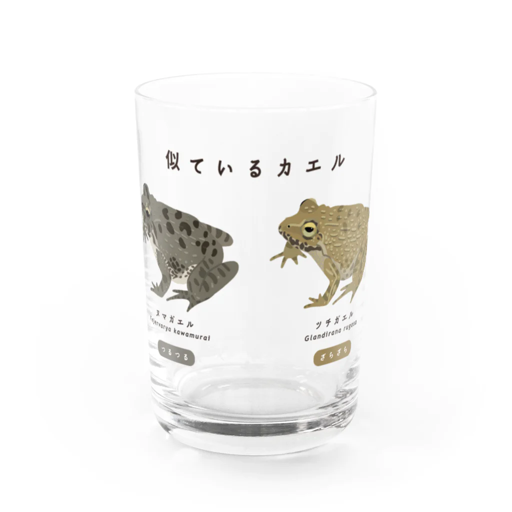 さちこの生物雑貨のツチとヌマ Water Glass :front