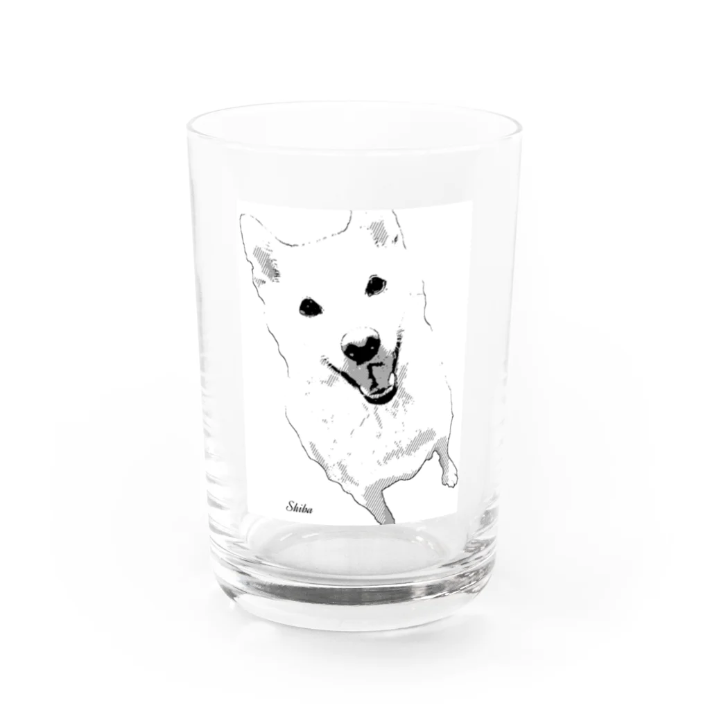 🤎C.S.K🤎の白柴さん🐺 Water Glass :front