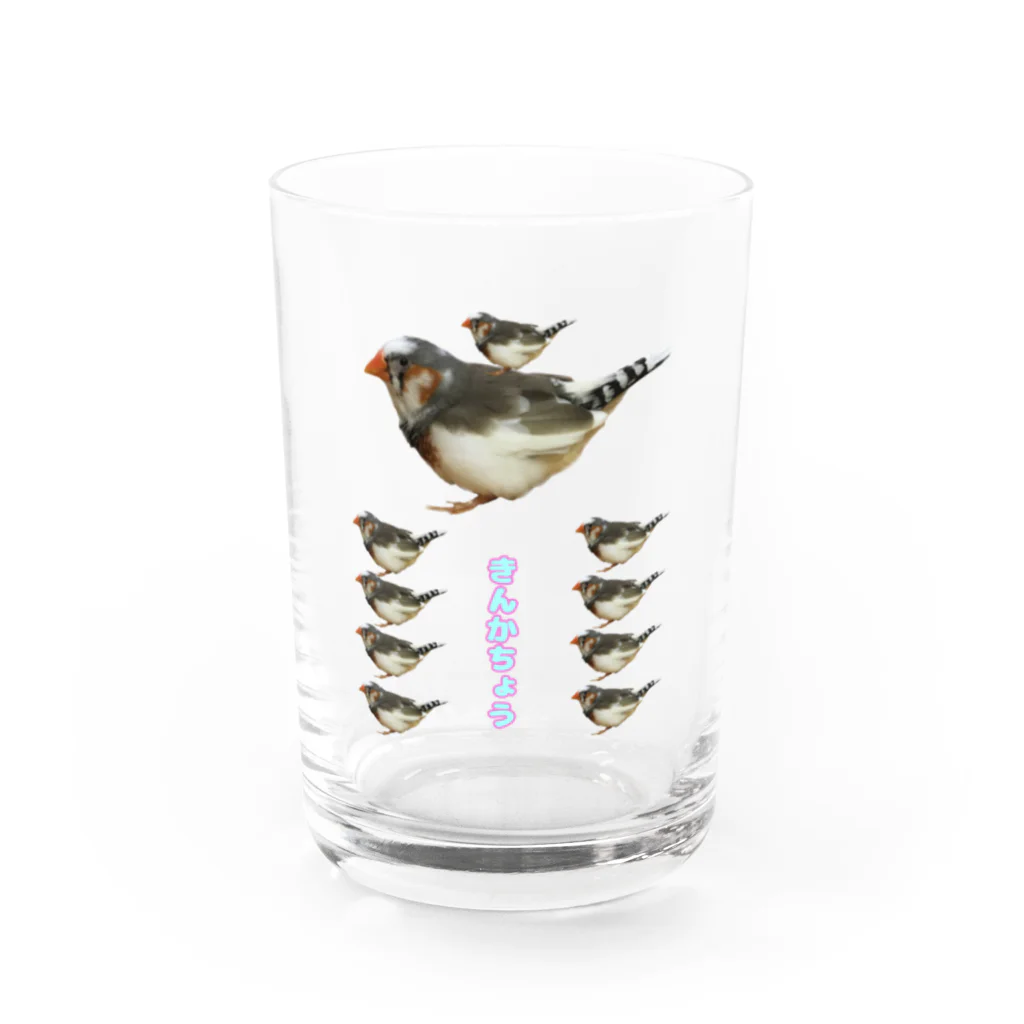 みるくま商店のきんかちょうラブ Water Glass :front