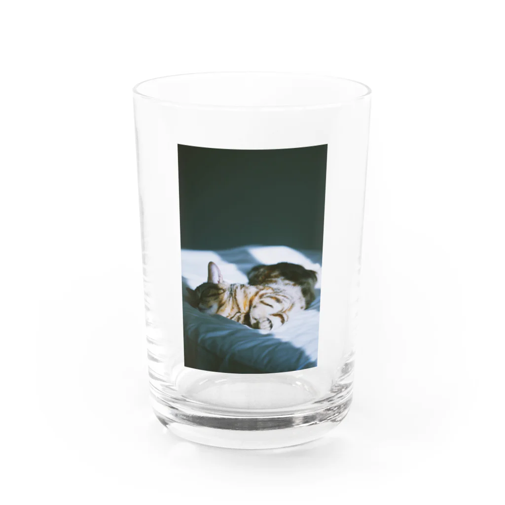 34のひかり Water Glass :front