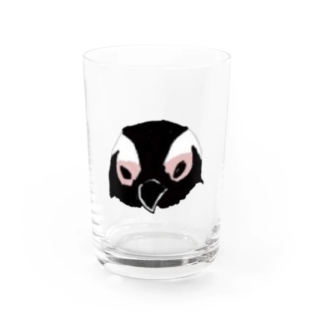 南極商店のケープペンギン Water Glass :front