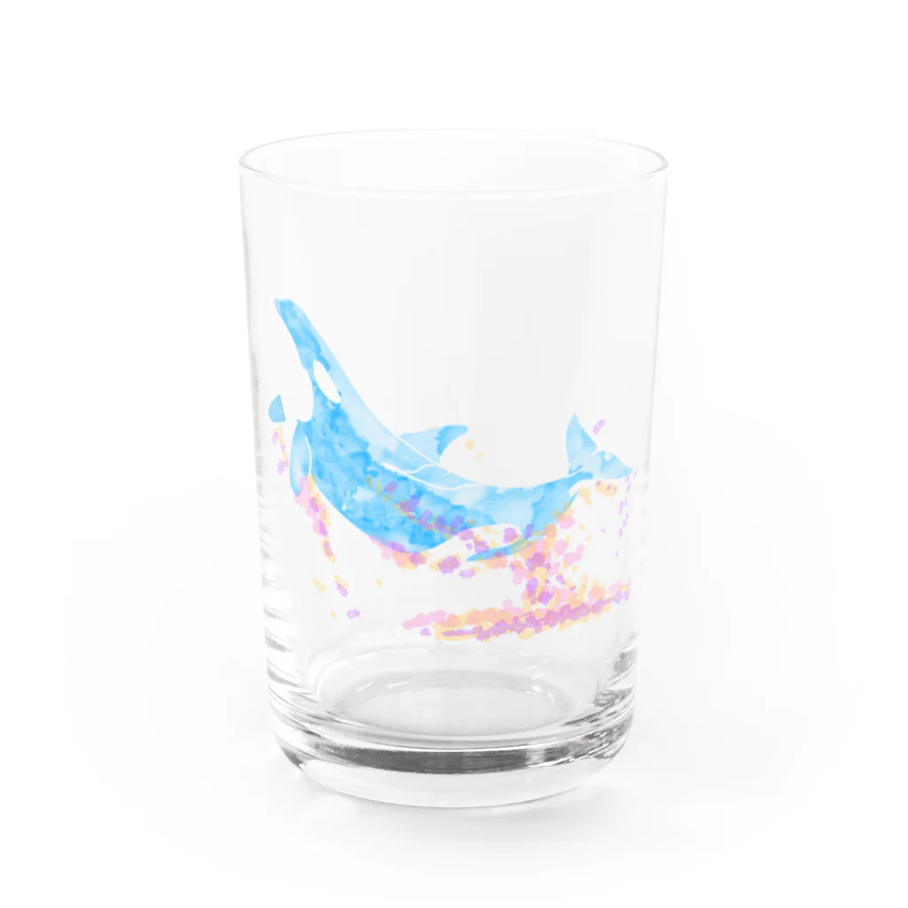 Ori-iro　イルカやシャチをお届け！の花飛沫をあげるシャチ Water Glass :front