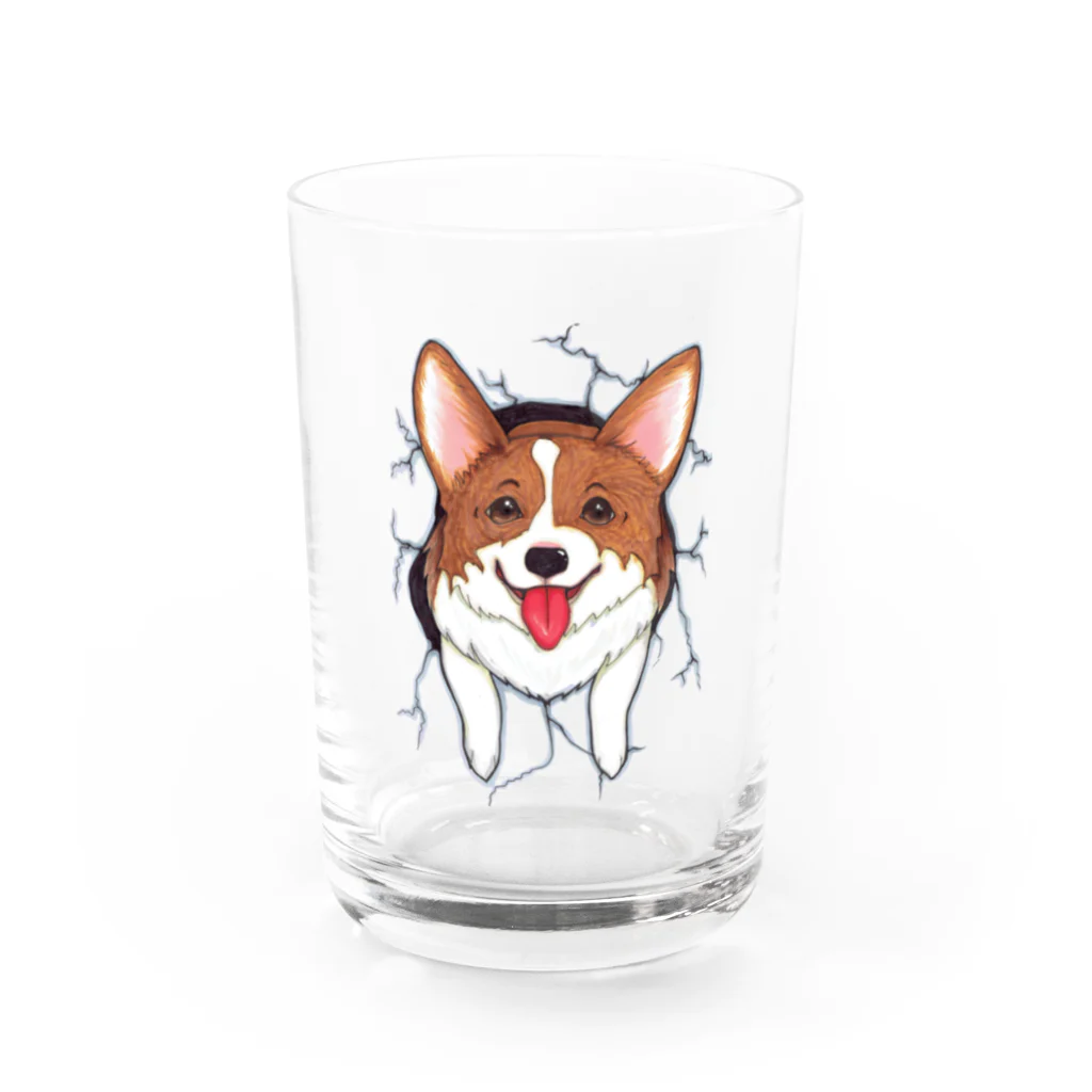 HANA’s NOSE CLIMBINGのCorgi_hana_T01 Water Glass :front