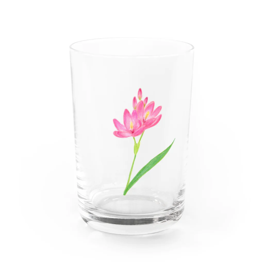 小さな星の庭のピンクのお花 Water Glass :front