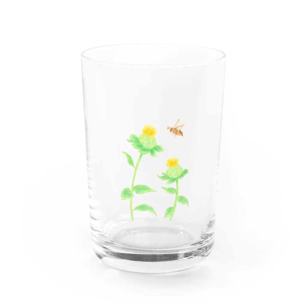 小さな星の庭のみつばちと紅花 Water Glass :front