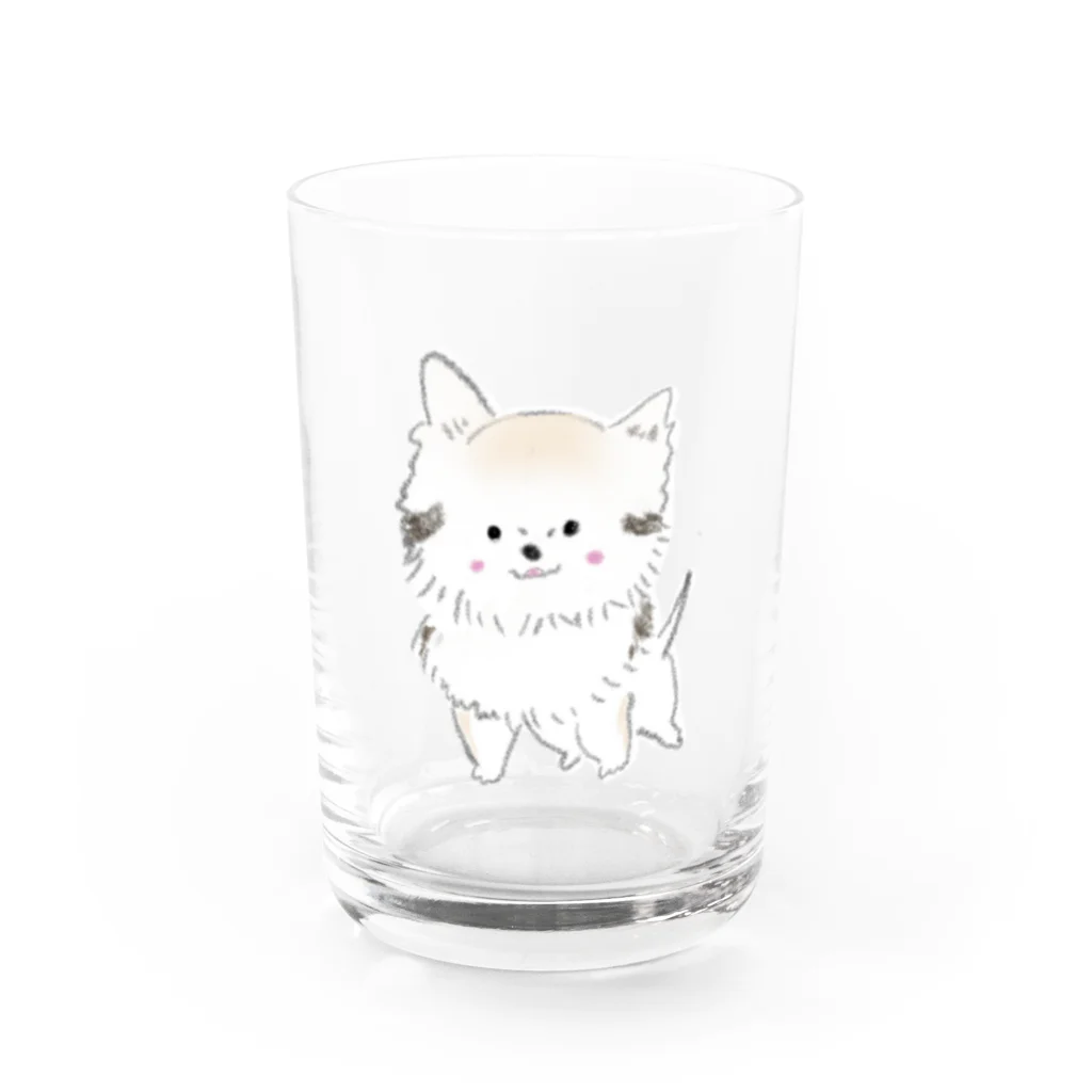 しまのポン酢ちゃん Water Glass :front