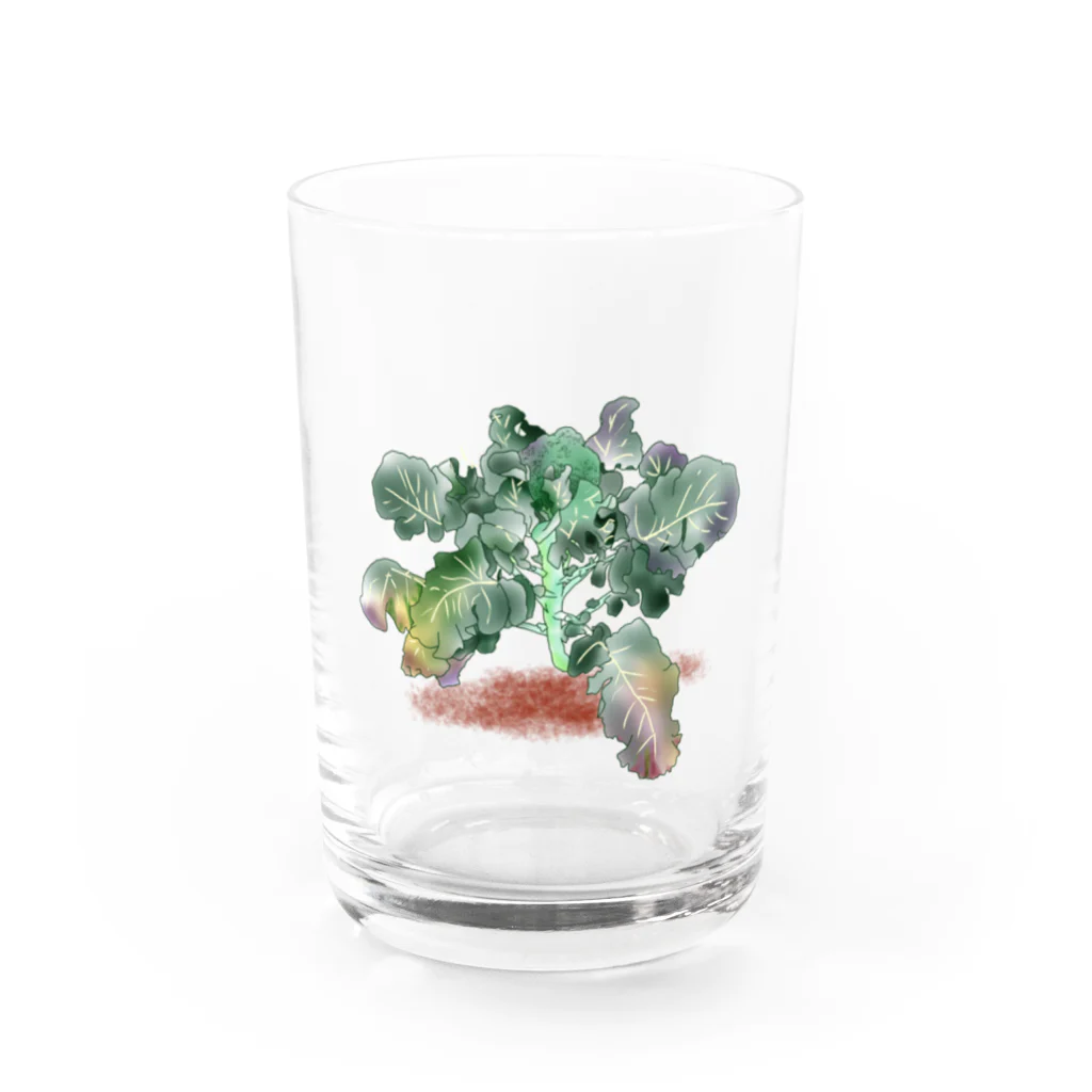 サルハ亭のブロッコリー Water Glass :front