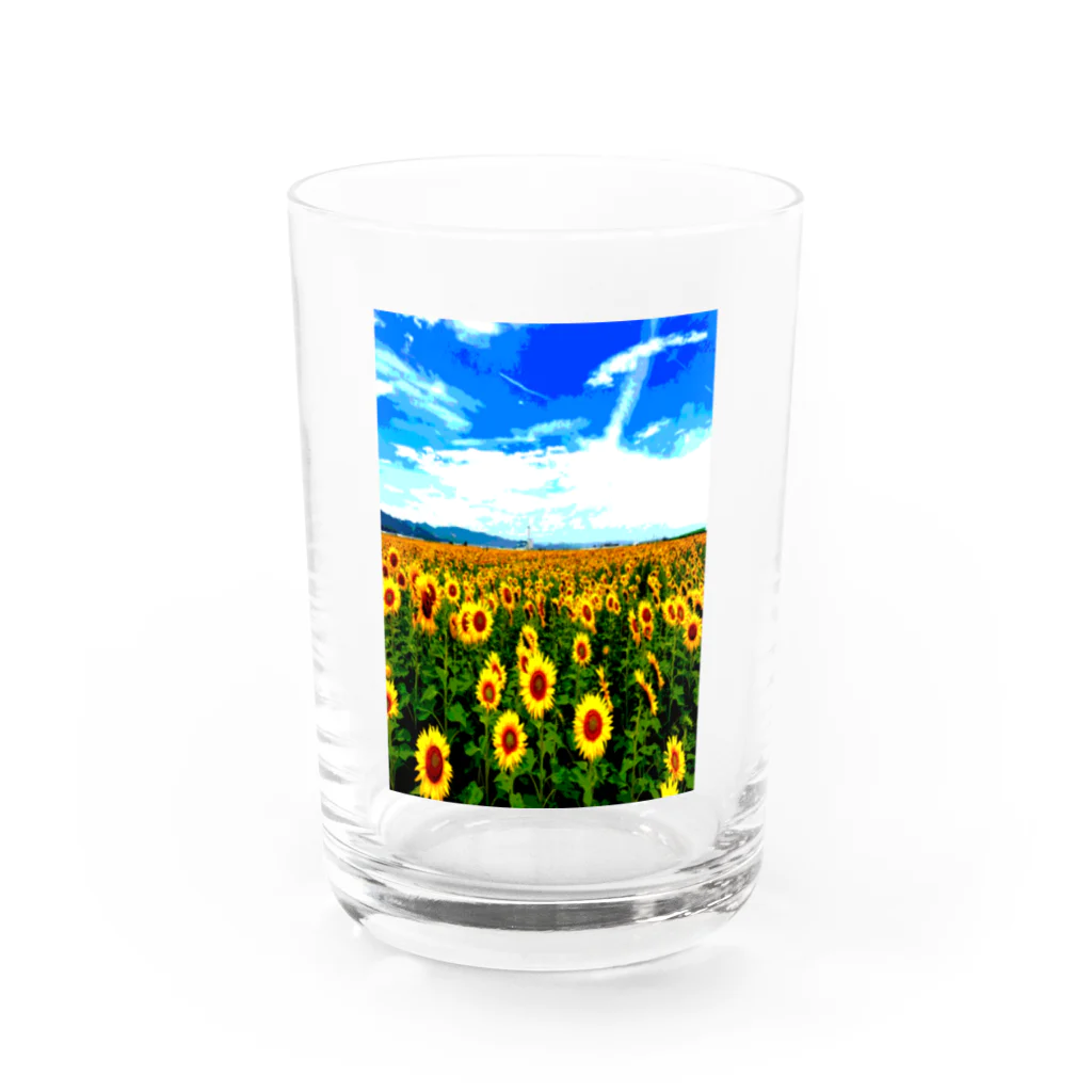 Danke Shoot Coffeeの山元町のヒマワリ畑 Water Glass :front