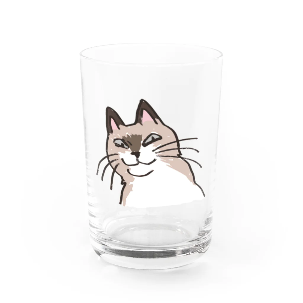 是我それのなんやねん感のある猫06 Water Glass :front