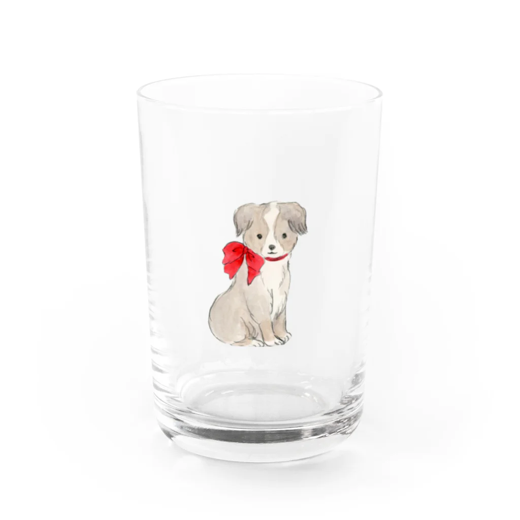 小さな星の庭の赤いリボンの犬 Water Glass :front