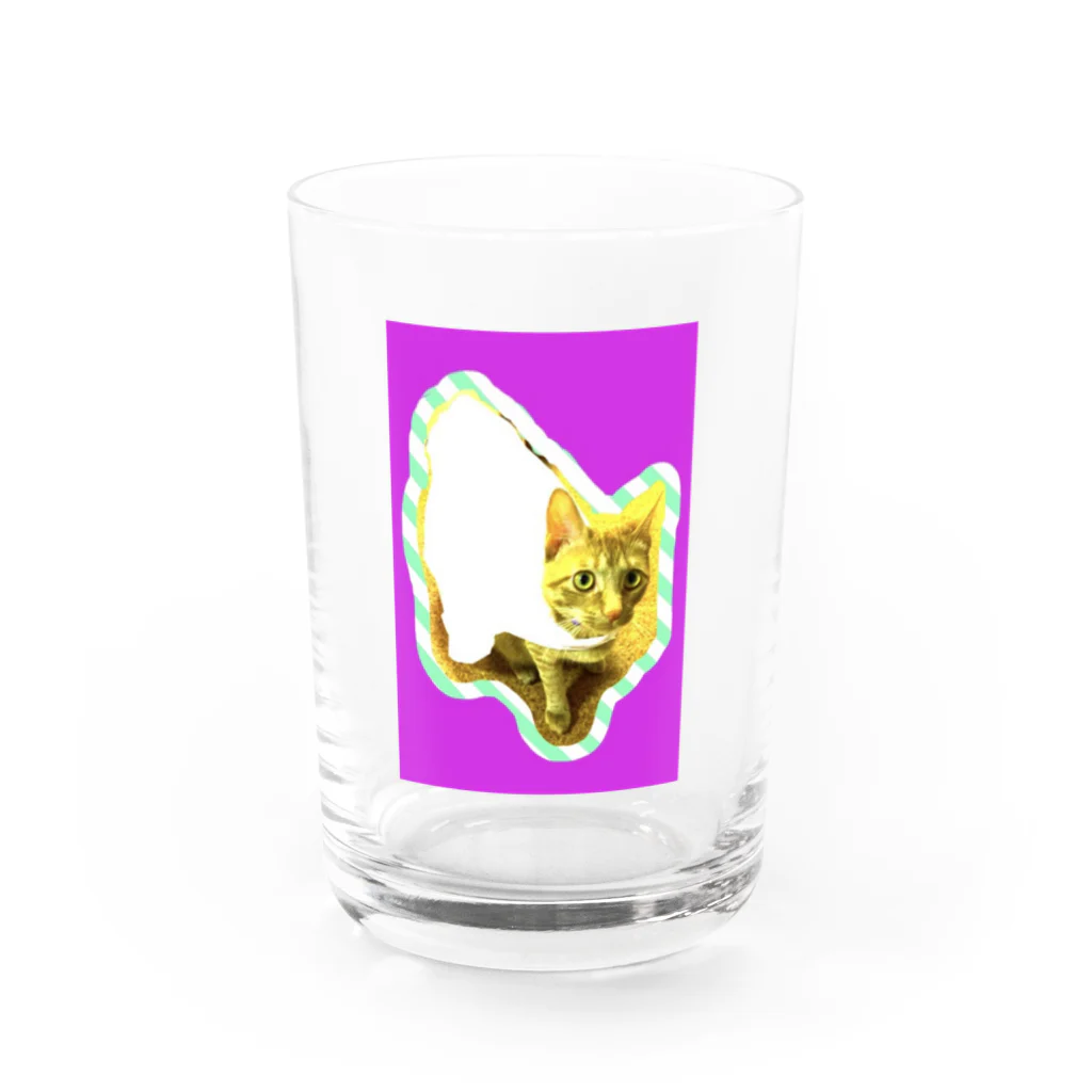 Miss Opupuのほたかめピンク Water Glass :front