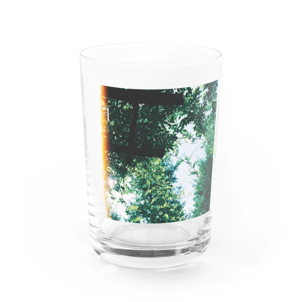 カステラのきらきら Water Glass :front