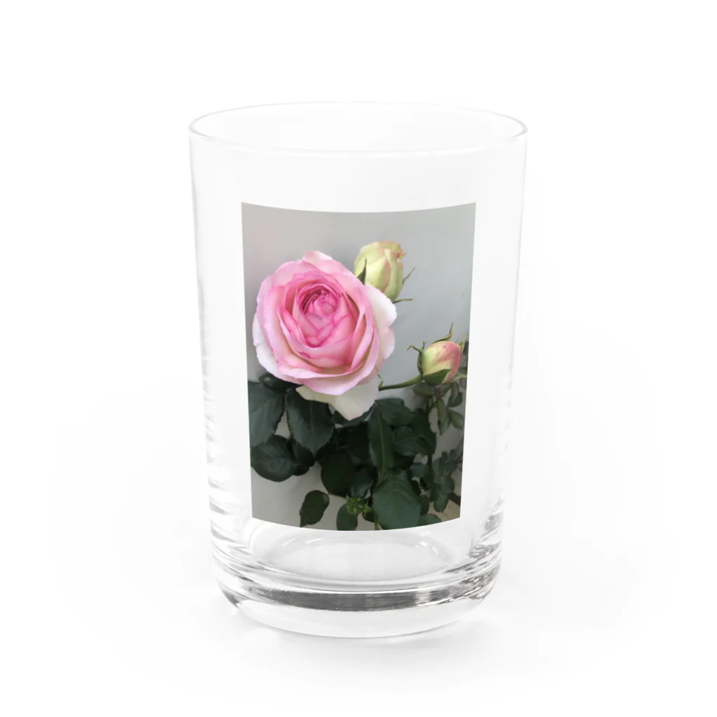 Glowの薔薇 Water Glass :front