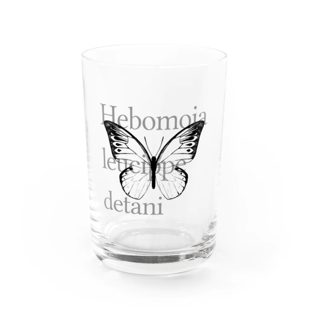 NEROのHebomoia leucippe detani  Water Glass :front