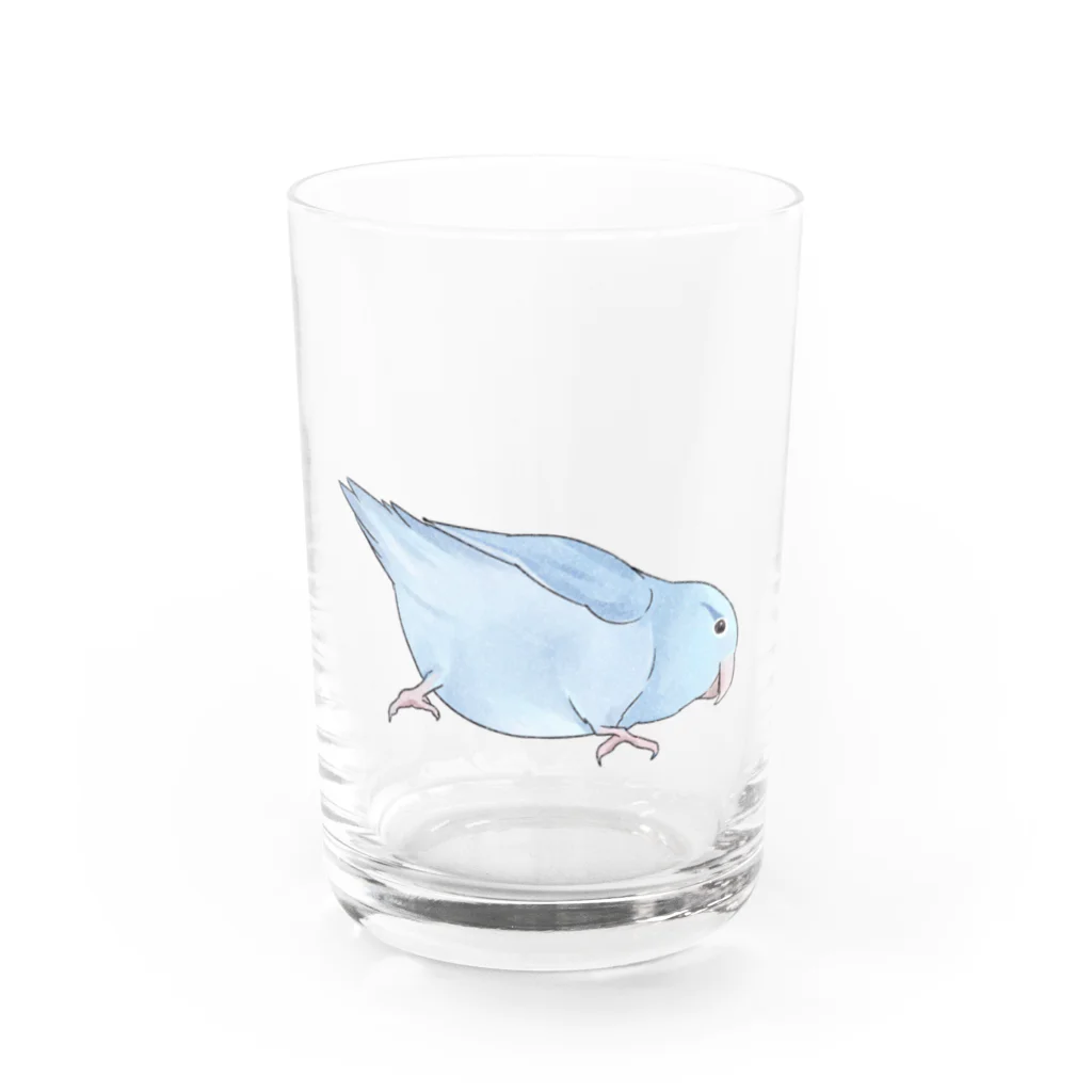 まめるりはことりのマメルリハ　もちふりちゃん【まめるりはことり】 Water Glass :front