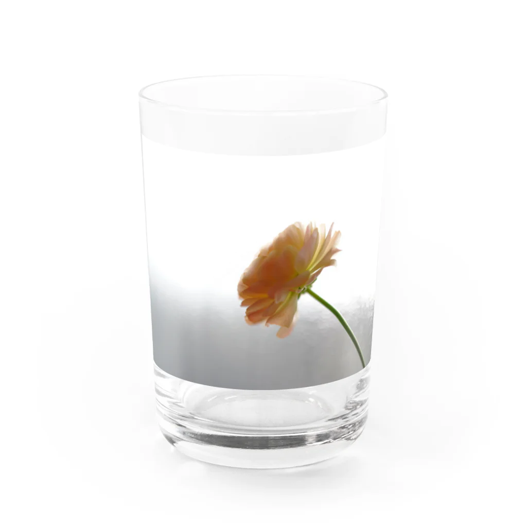 花と緑のラナンキュラス グラス前面