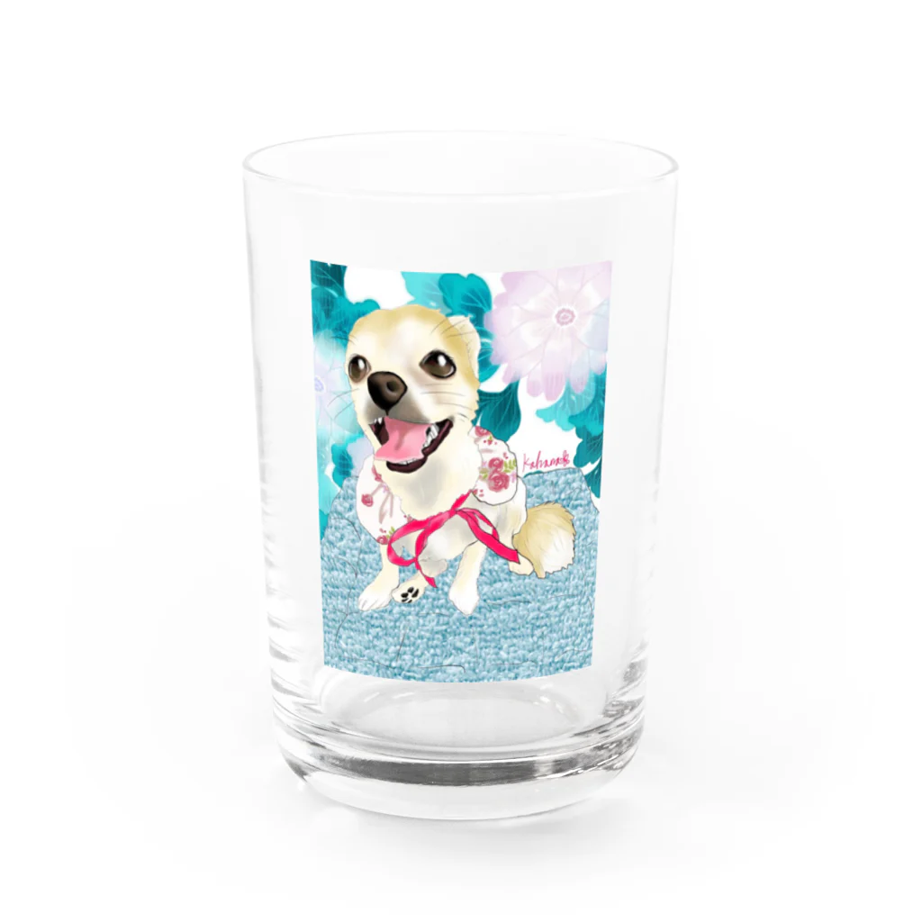 アニマルデザインはなのチワワの笑顔 Water Glass :front