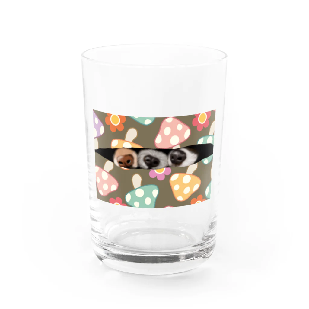 アニマルデザインはなの３匹のわんこ Water Glass :front