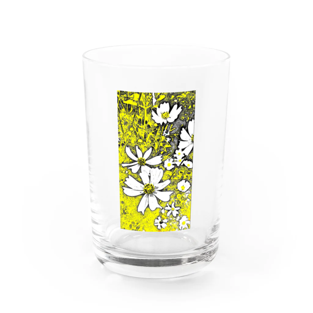 マロマロの秋桜 Water Glass :front