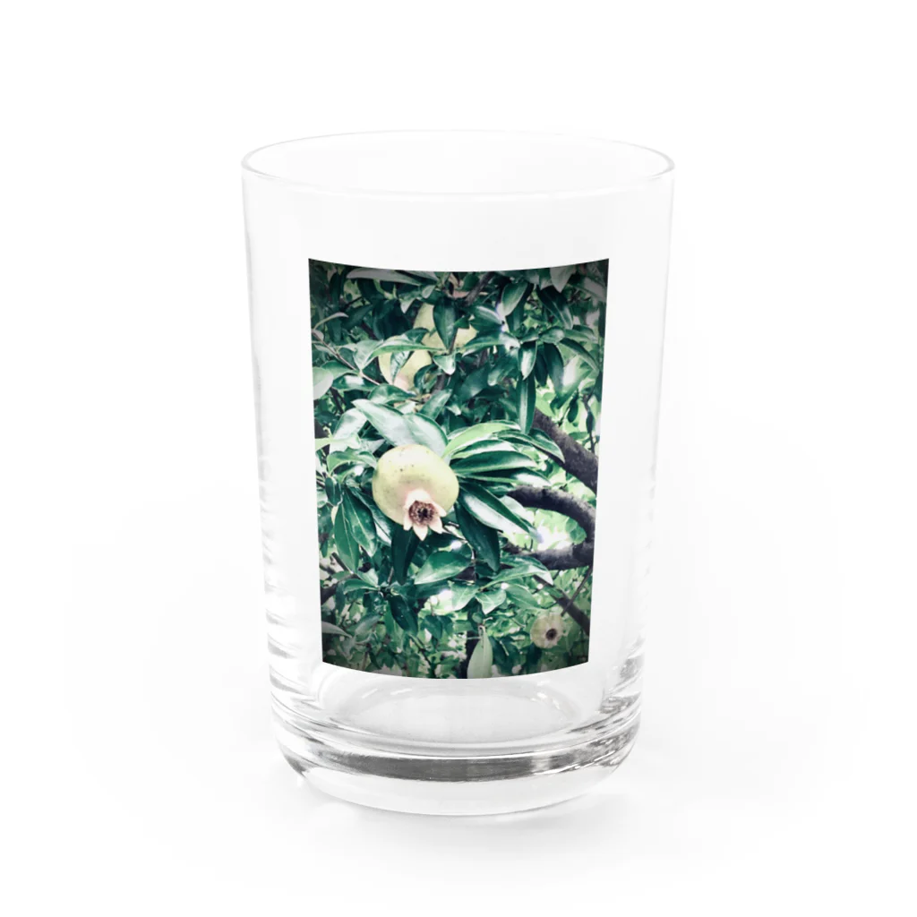 除夜の青い石榴 Water Glass :front