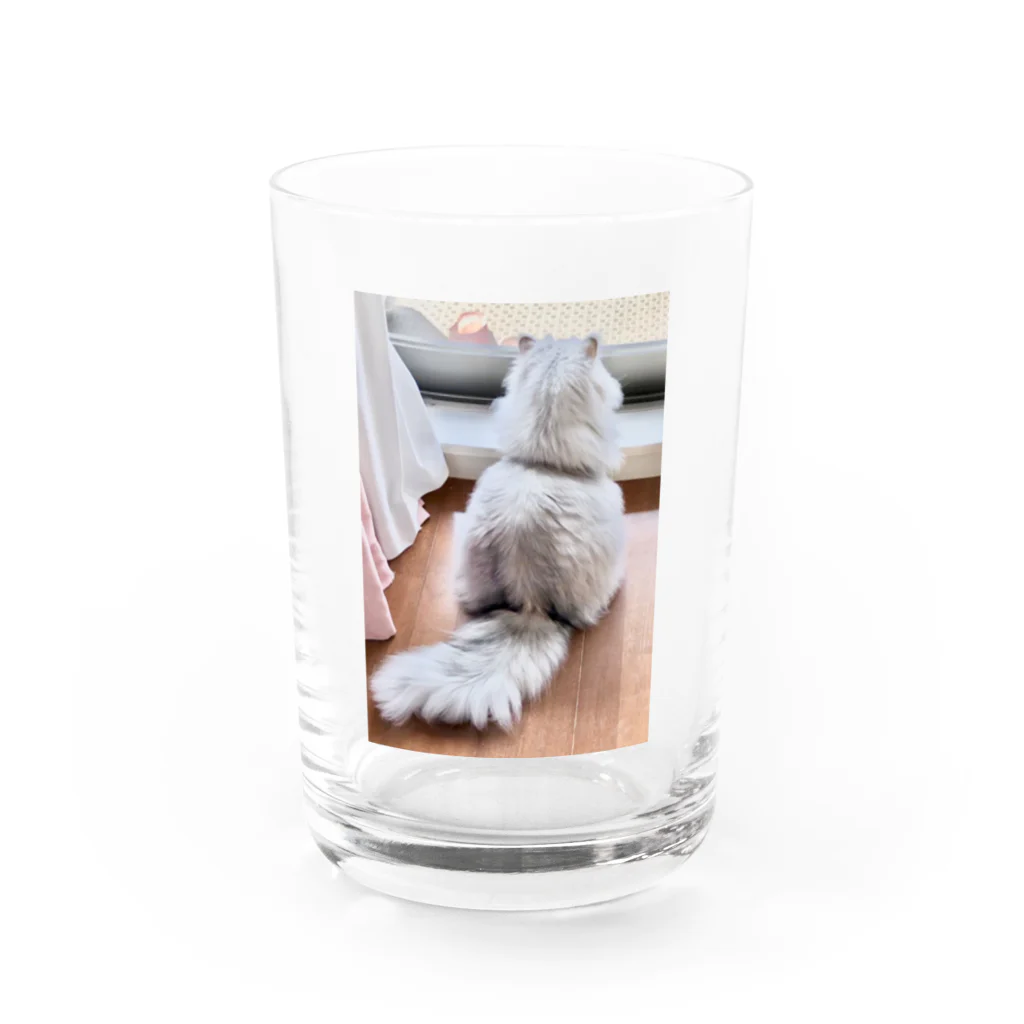 猫しゃちょうのアッくんの、お・し・り❤ Water Glass :front