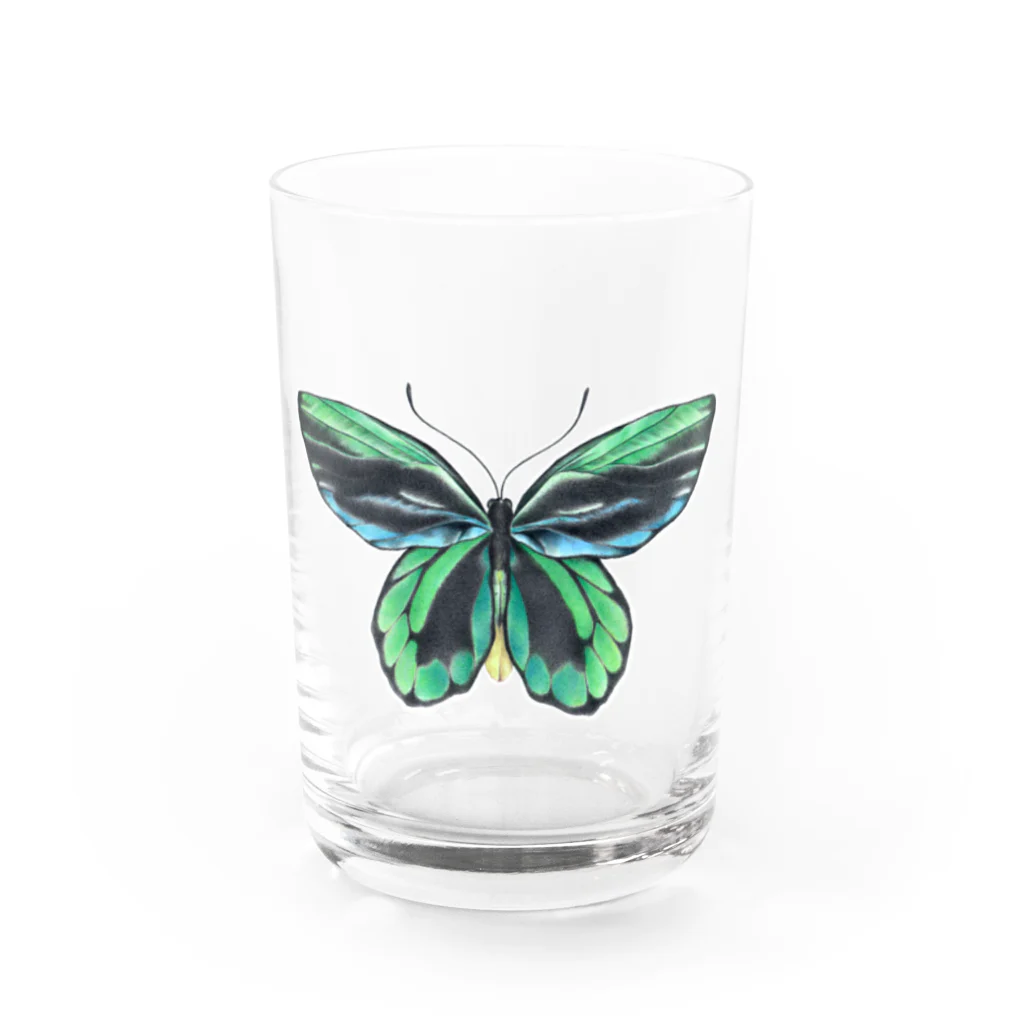 シヲのアレキサンドラトリバネアゲハ Water Glass :front